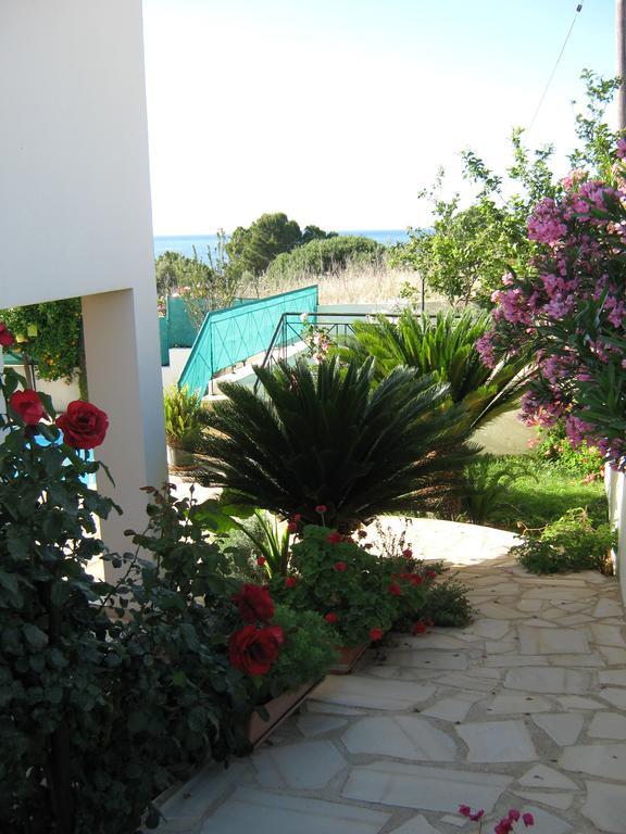Villa Pergia Latchi Πόλη Δωμάτιο φωτογραφία
