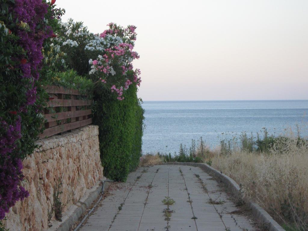 Villa Pergia Latchi Πόλη Δωμάτιο φωτογραφία